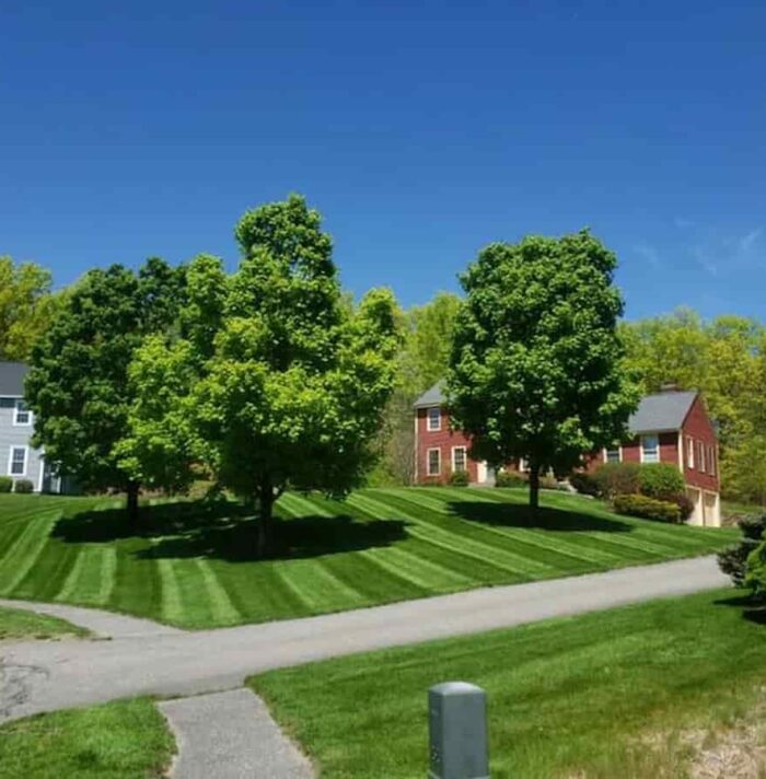 Commercial Landscaping