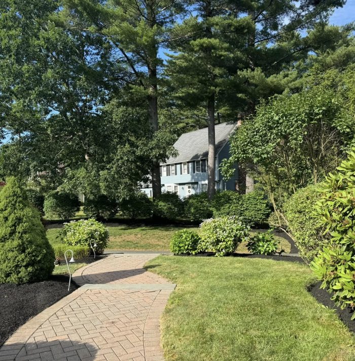 low maintenance front yard landscaping with walkway lawn and shrubs design