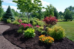 low maintenance garden design with mulch and colorful plants for beginners