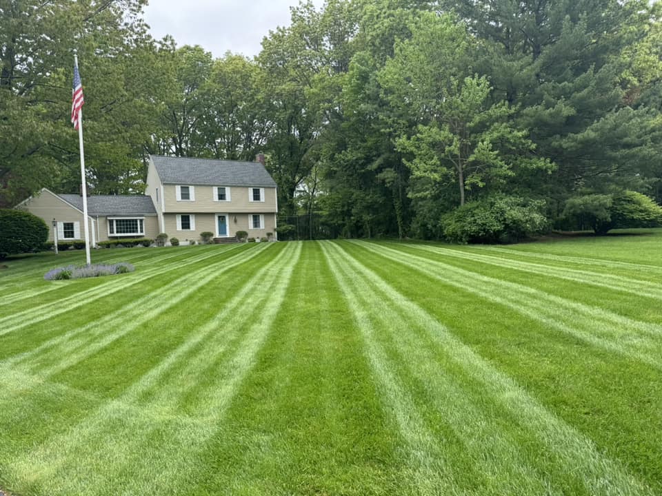 Commercial landscaping in Winchester MA by Grounds of Nature