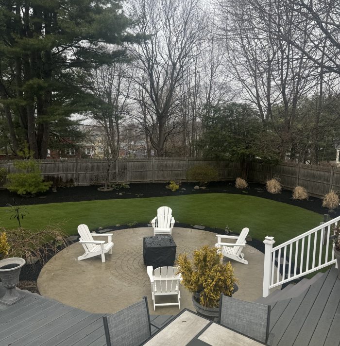 Beautiful professionally landscaped backyard with green lawn and outdoor patio design