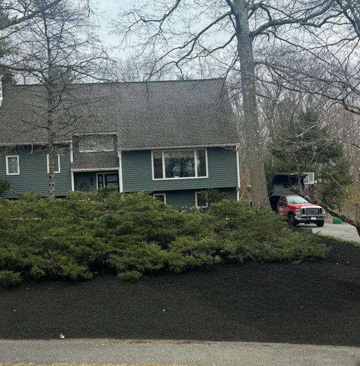 Healthy lawn and landscape mulch design for a greener backyard
