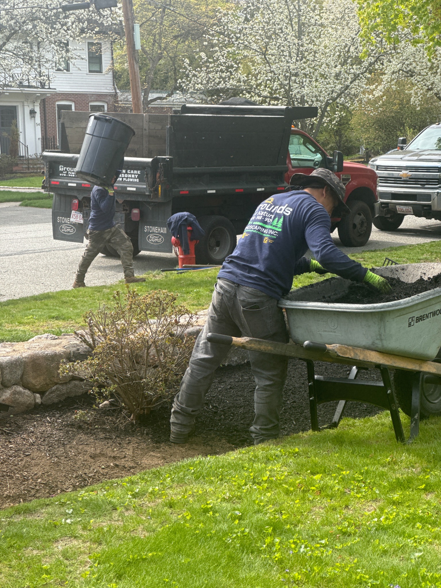 Landscaping professionals installing fresh mulch and maintaining a residential lawn landscape