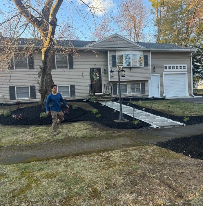 New front yard mulch bed installation with black mulch, decorative stone walkway, and foundation plantings at a residential home.