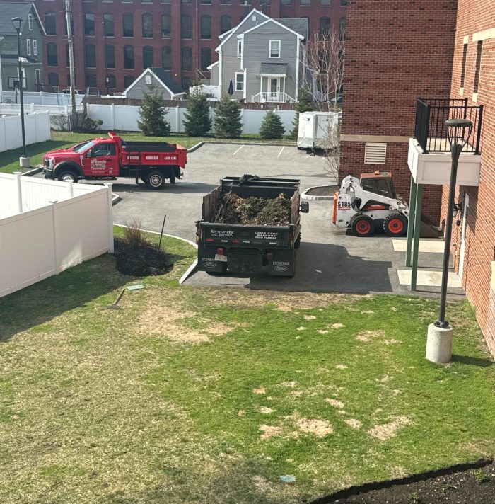 Restore patchy, thinning grass with professional lawn renovation services. Learn how overseeding, soil improvement, and lawn care create healthier turf.