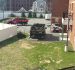 Spring Lawn Renovation Services for Patchy Grass Recovery | Grounds of Nature Landscaping Inc