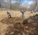 Landscape Bed Preparation Before Planting