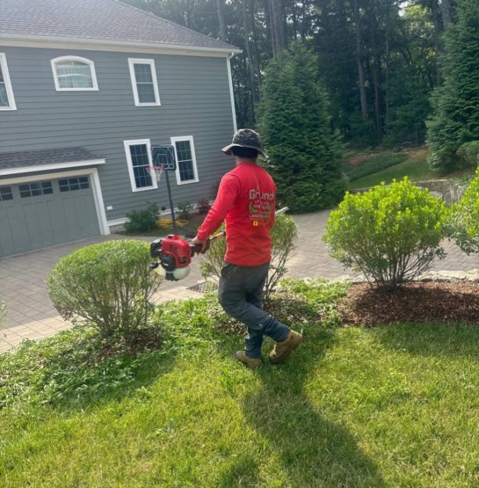 Worker trimming shrubs as part of yard maintenance at a residential property