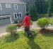 Shrub Trimming and Yard Maintenance for a Neat Landscape