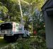 Tree Debris Cleanup for a Safer, Cleaner Residential Yard